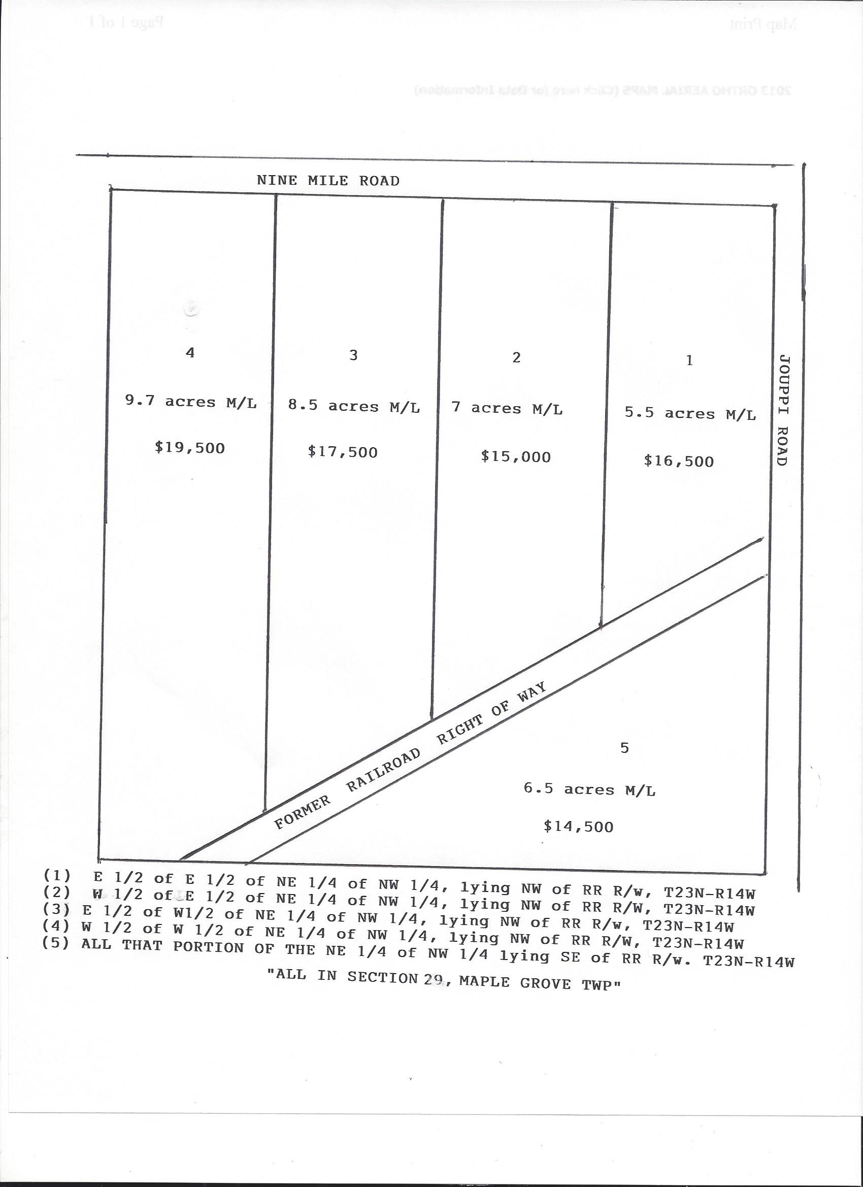 19007778 Jouppi & Nine Mile Road Kaleva, MI 49645 Ringel Real Estate & Auctions